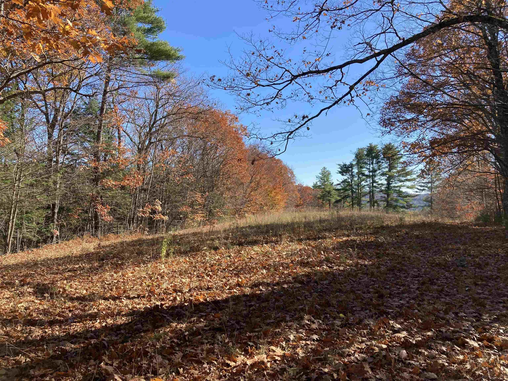 Cherry Hill Road Grafton NH 03240