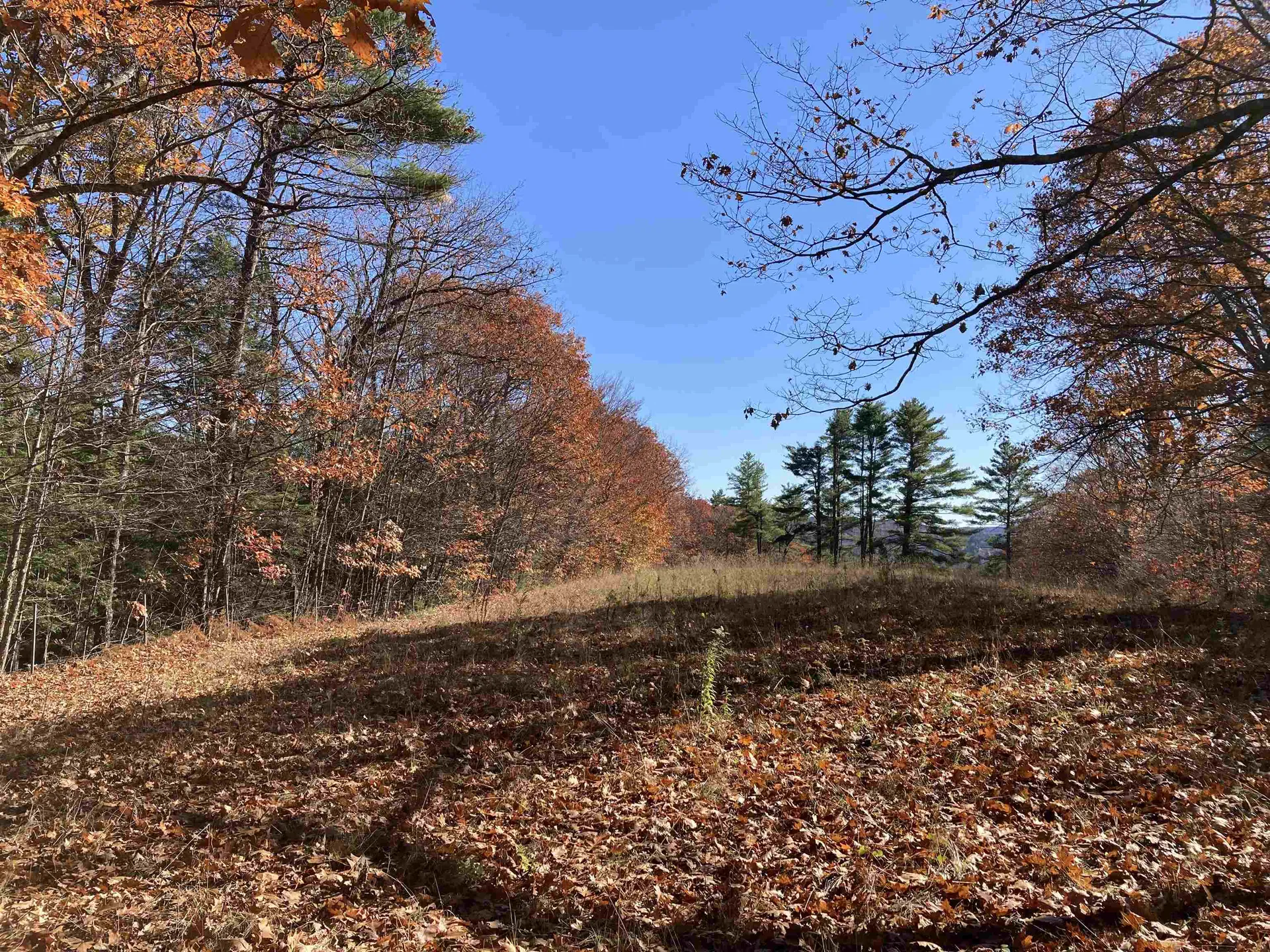 Cherry Hill Road Grafton NH 03240