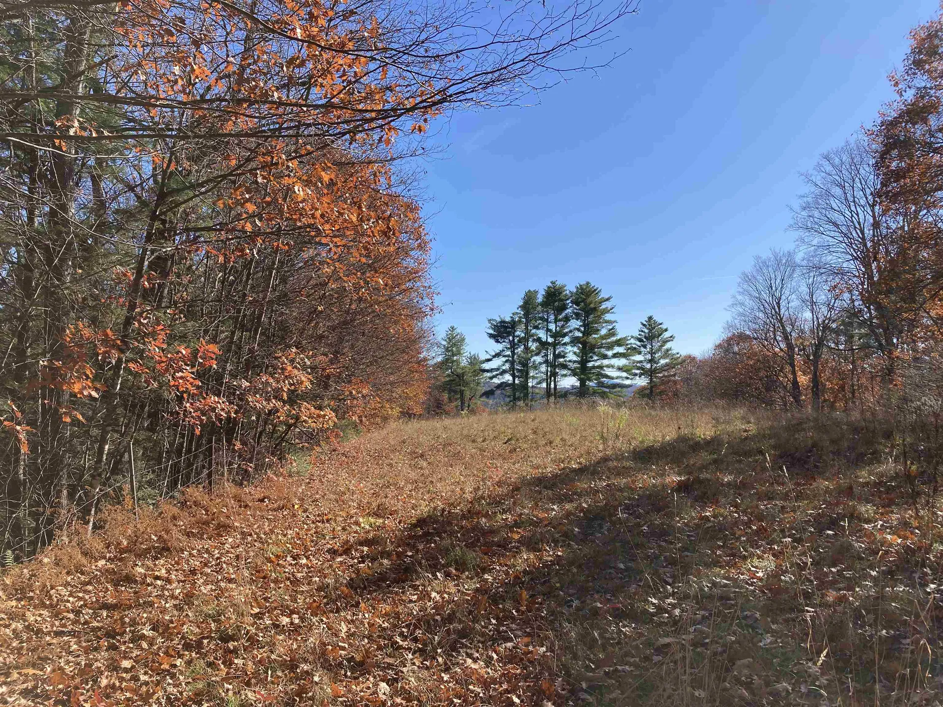 Cherry Hill Road Grafton NH 03240