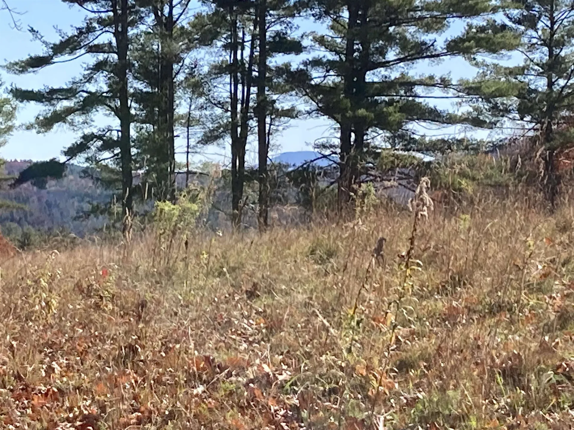 Cherry Hill Road Grafton NH 03240