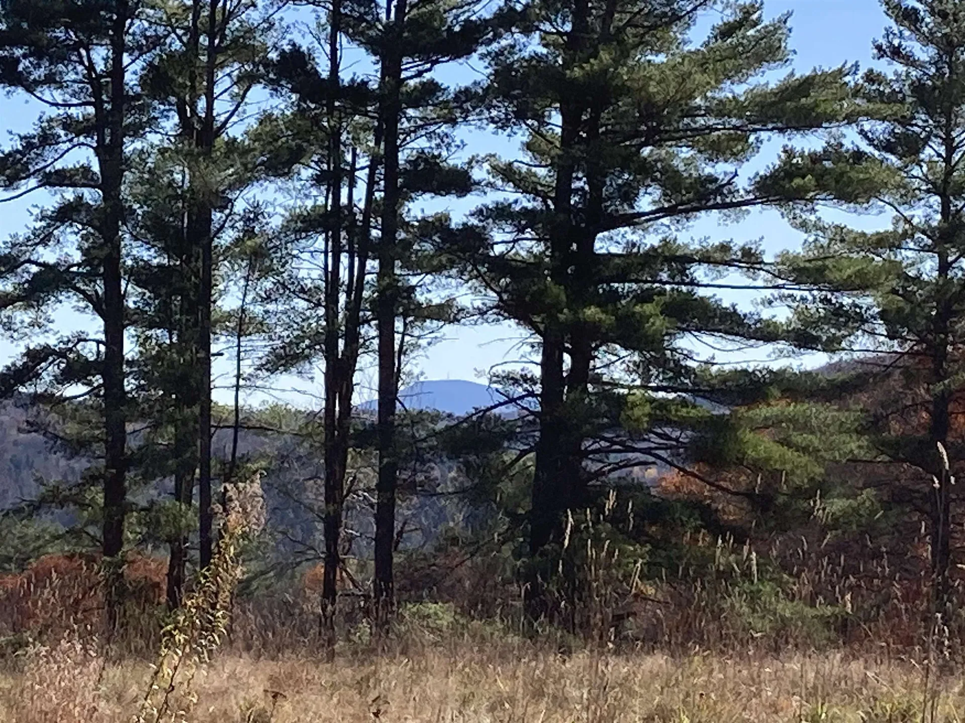 Cherry Hill Road Grafton NH 03240