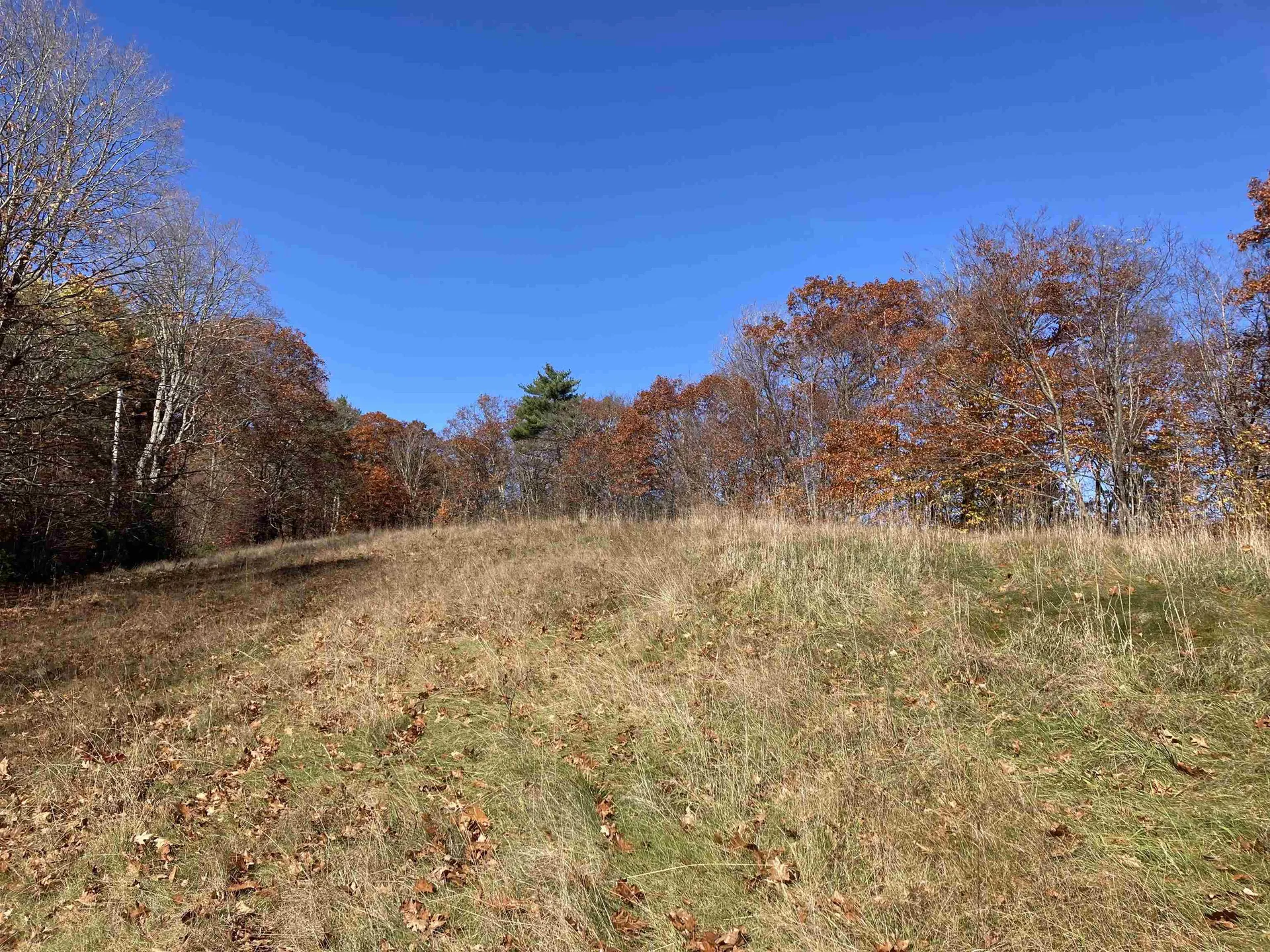 Cherry Hill Road Grafton NH 03240