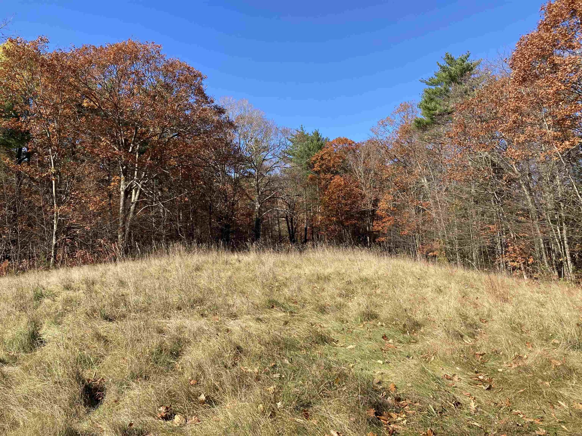 Cherry Hill Road Grafton NH 03240