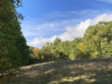 Cherry Hill Road Grafton NH 03240