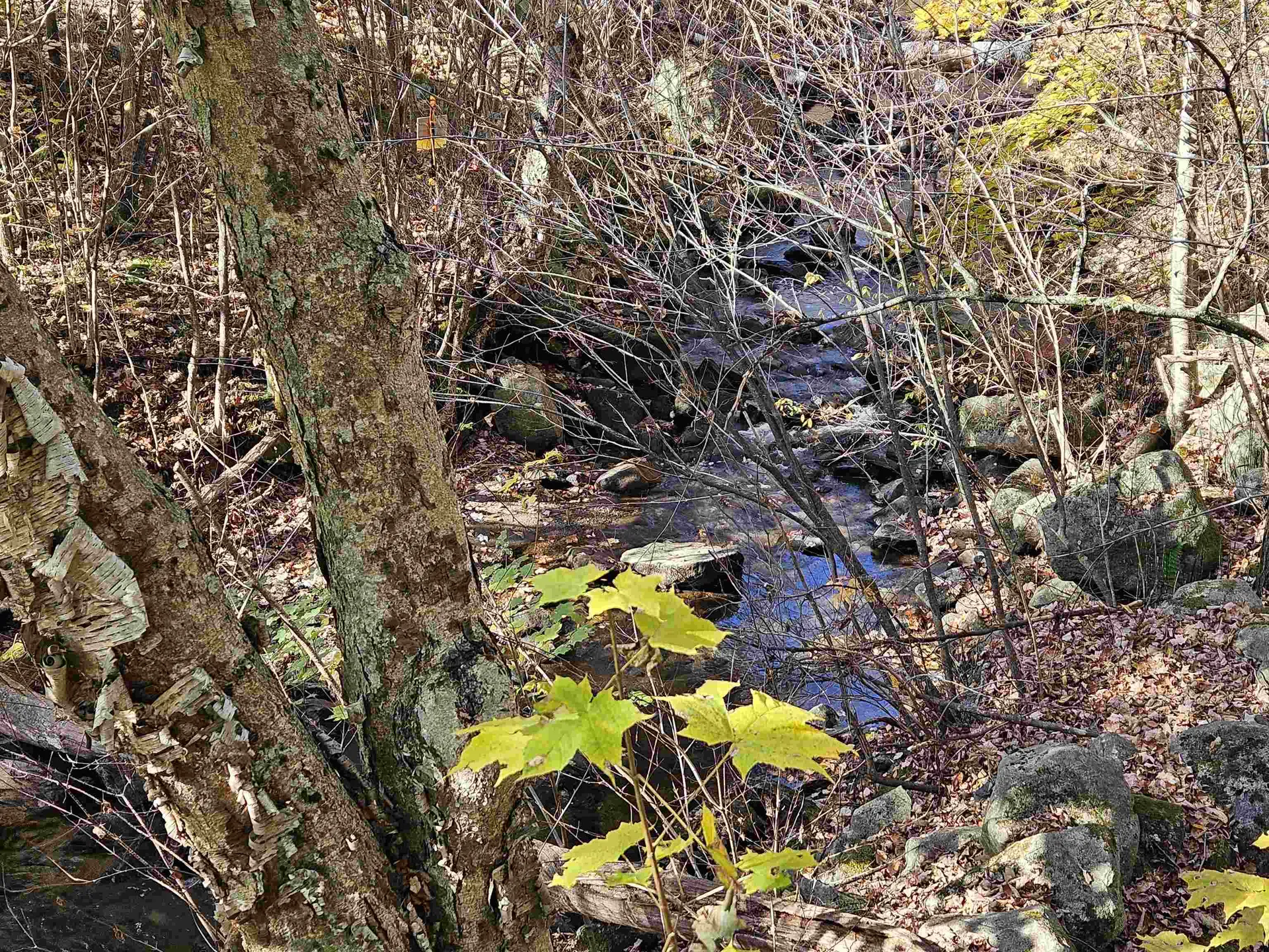 35 Bishop Street Littleton NH 03561