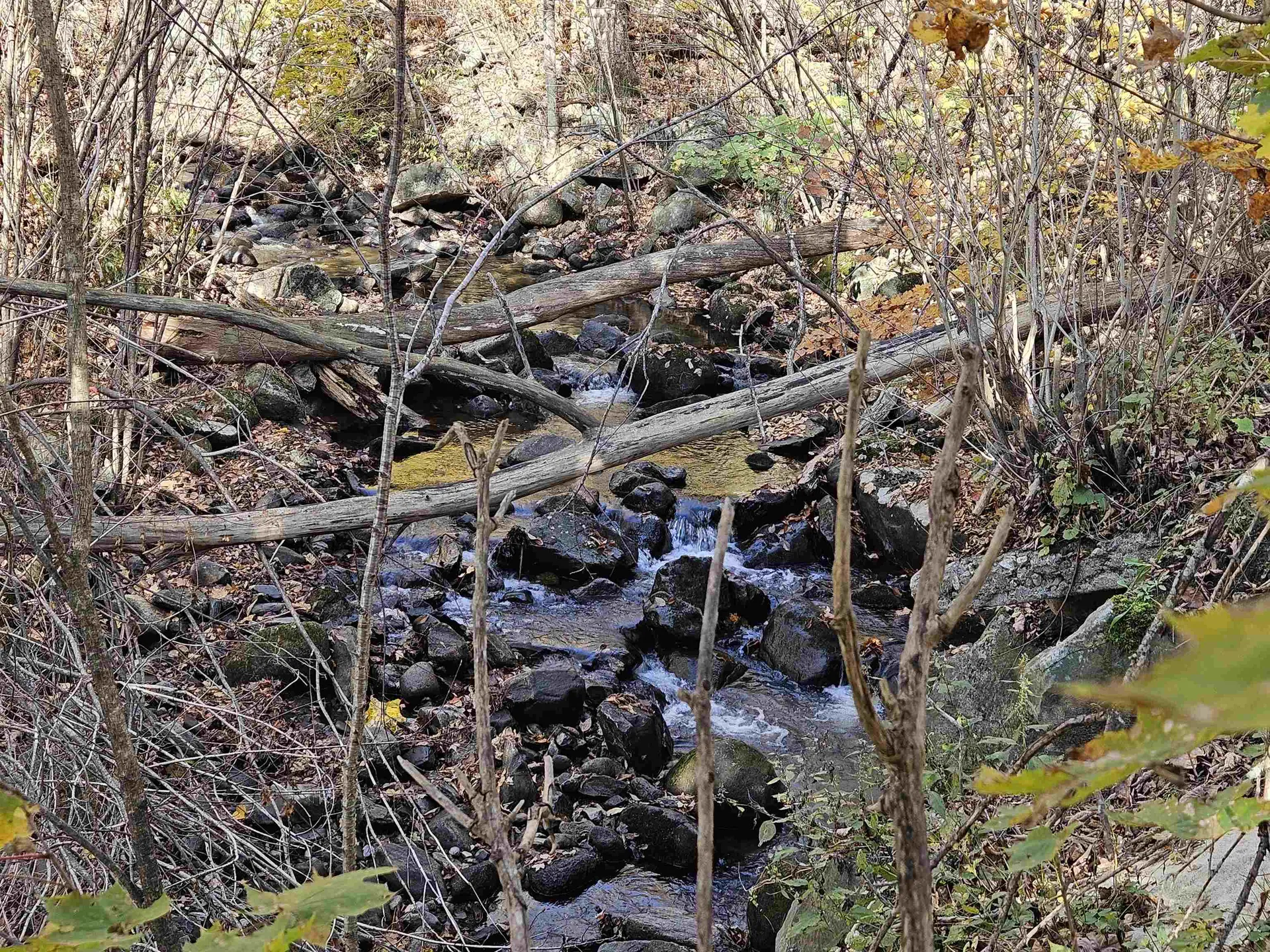 35 Bishop Street Littleton NH 03561