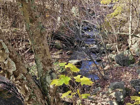 35 Bishop Street Littleton NH 03561