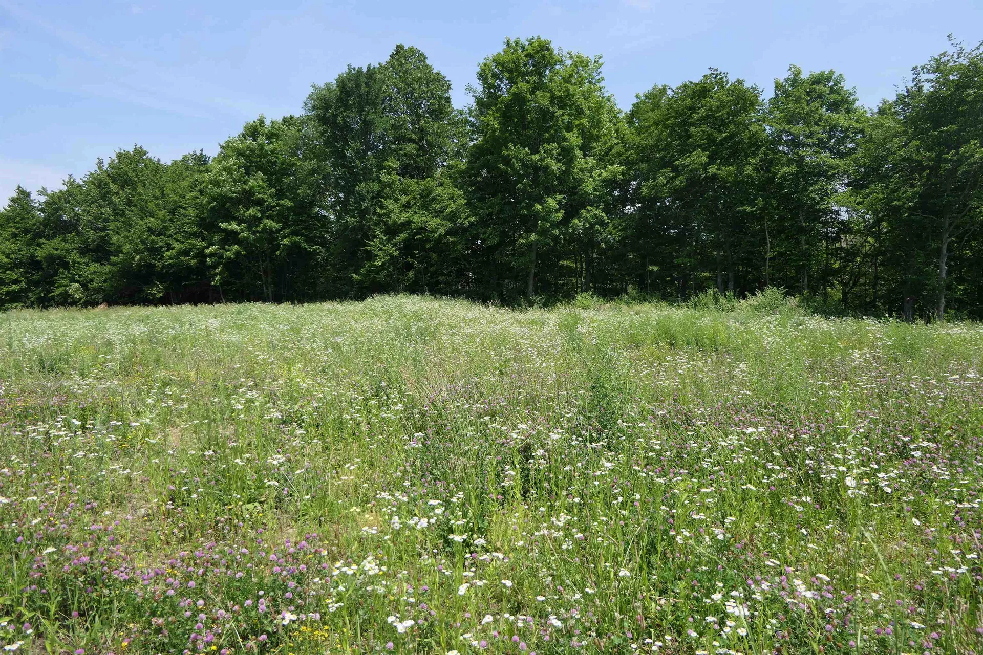 96 Ellsworth Drive Swanton VT 05488