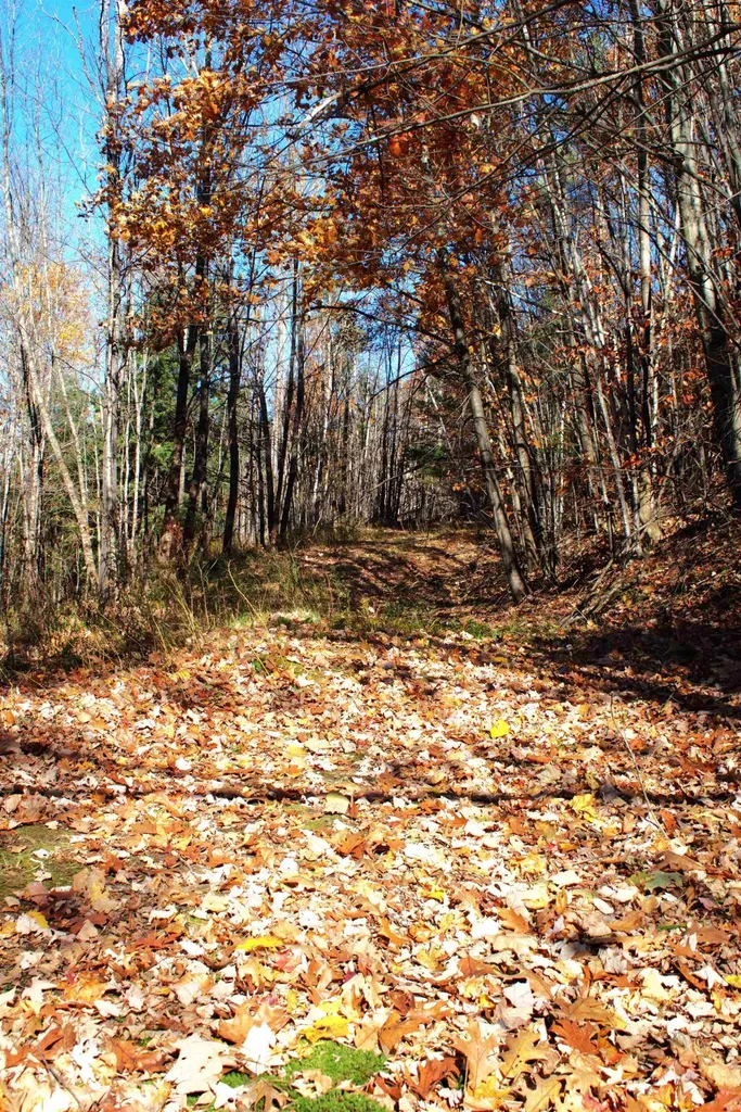 2946 Spaulding Road St. Johnsbury VT 05819