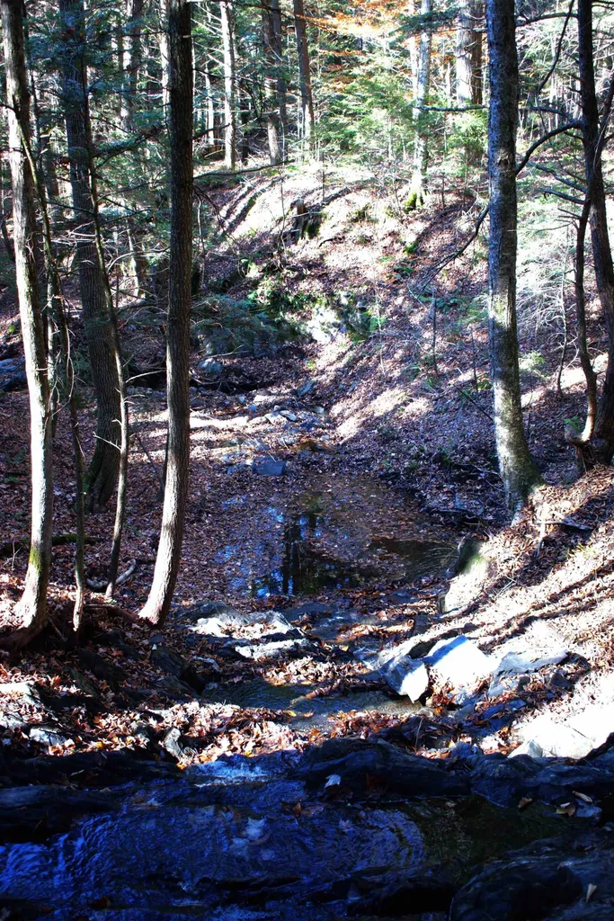 2946 Spaulding Road St. Johnsbury VT 05819