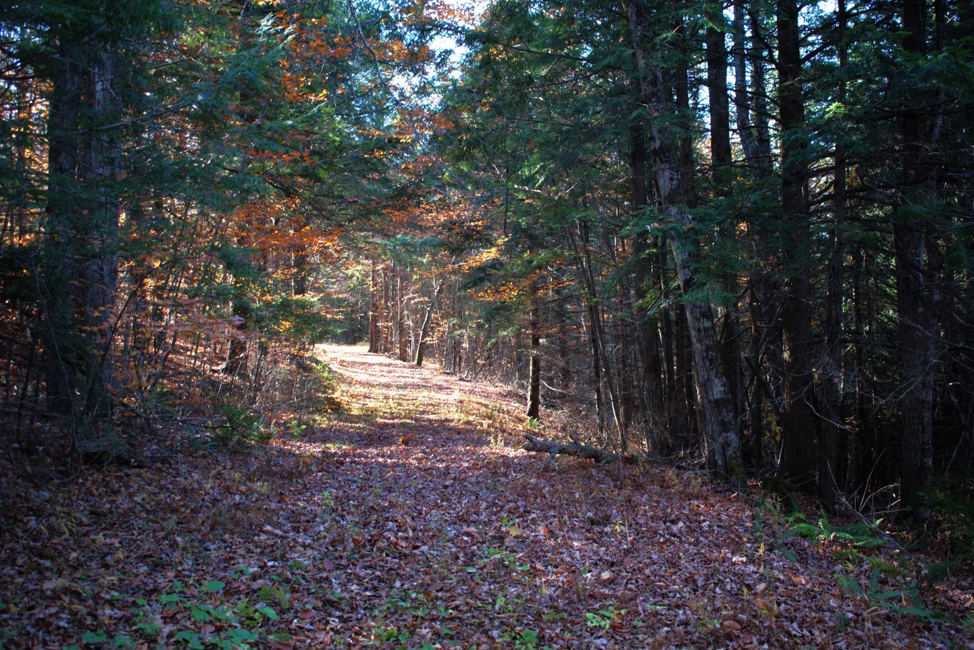 2946 Spaulding Road St. Johnsbury VT 05819