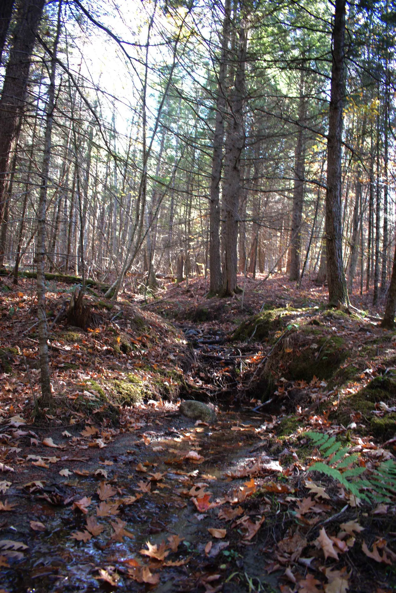 2946 Spaulding Road St. Johnsbury VT 05819