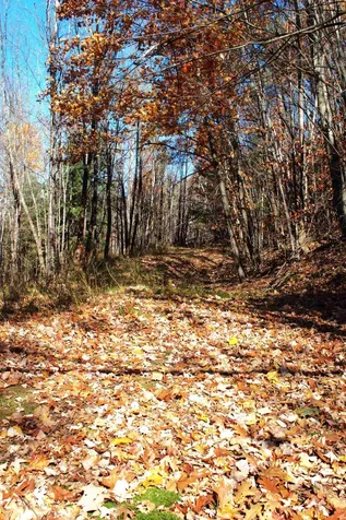 2946 Spaulding Road St. Johnsbury VT 05819