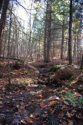 2946 Spaulding Road St. Johnsbury VT 05819