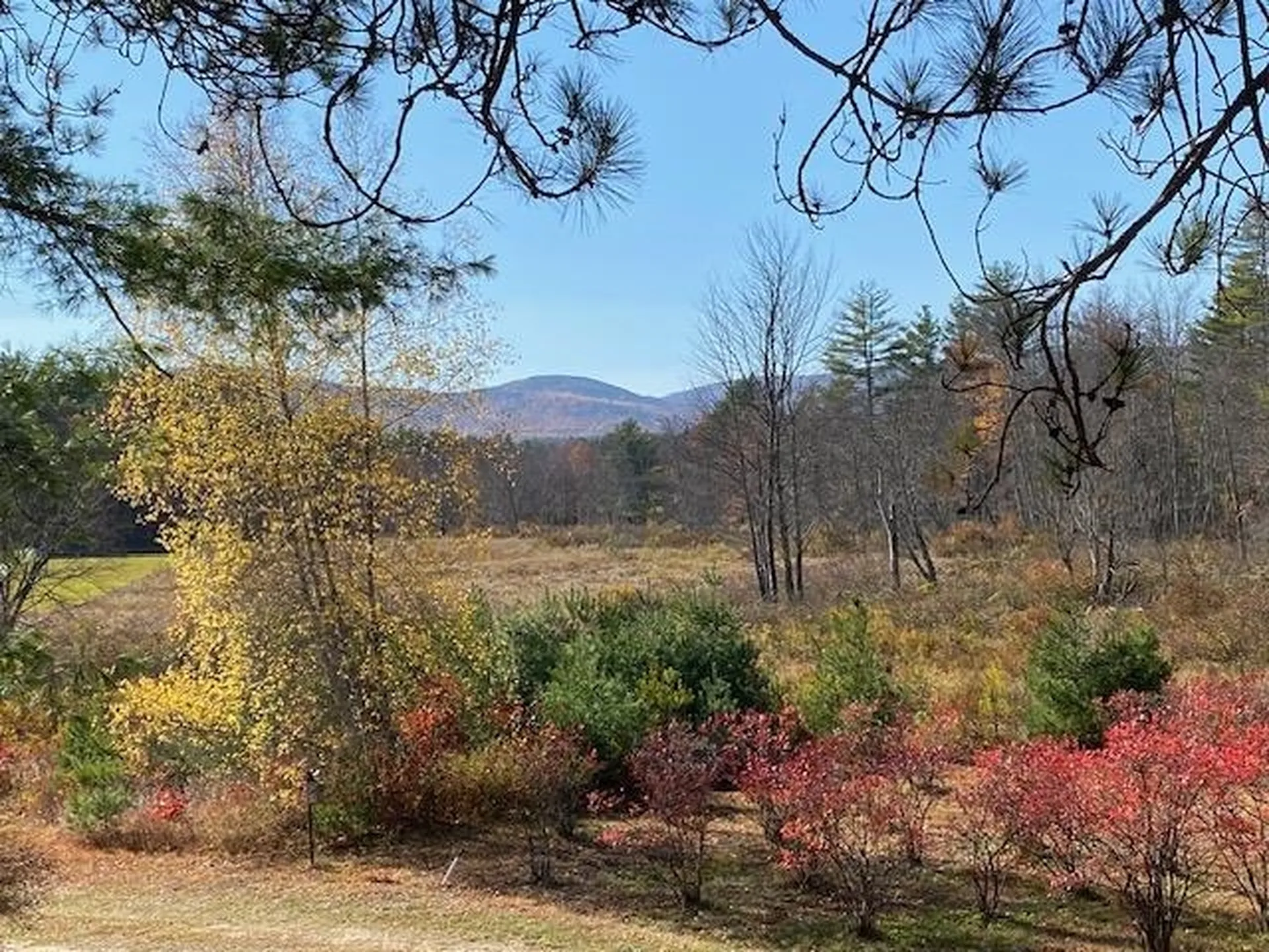 44 Pleasant View Road Bradford NH 03221