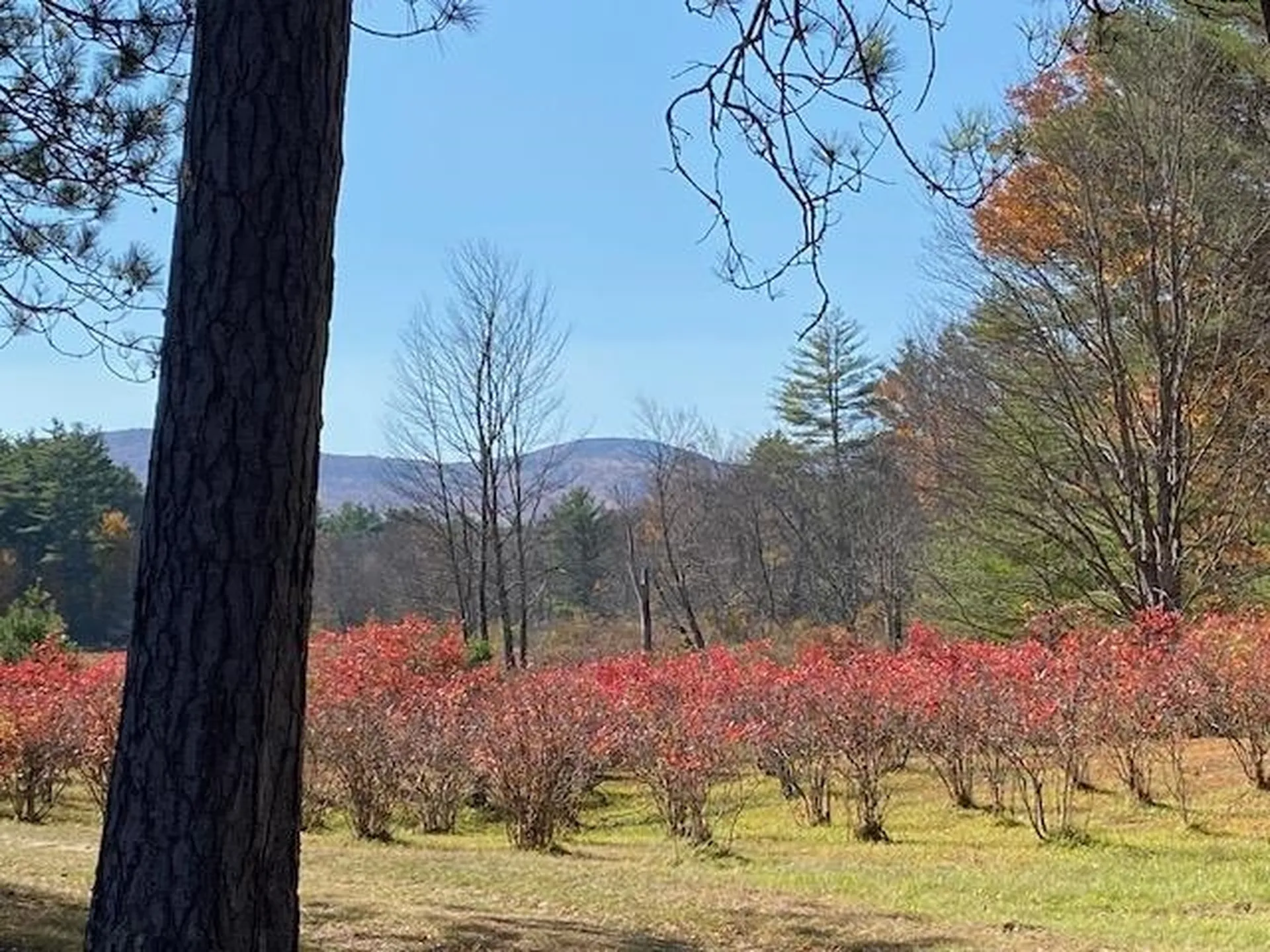 44 Pleasant View Road Bradford NH 03221