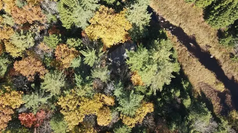 709 E Deering Road Deering NH 03244