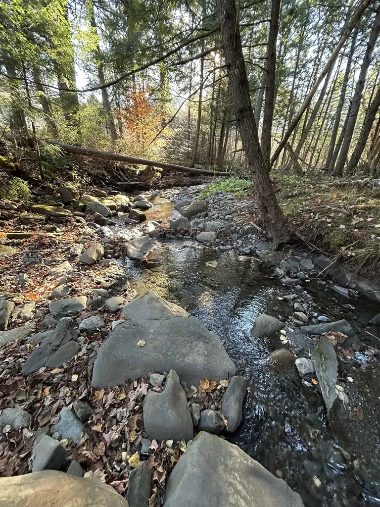 153 Dickerman Hill Road Tunbridge VT 05077