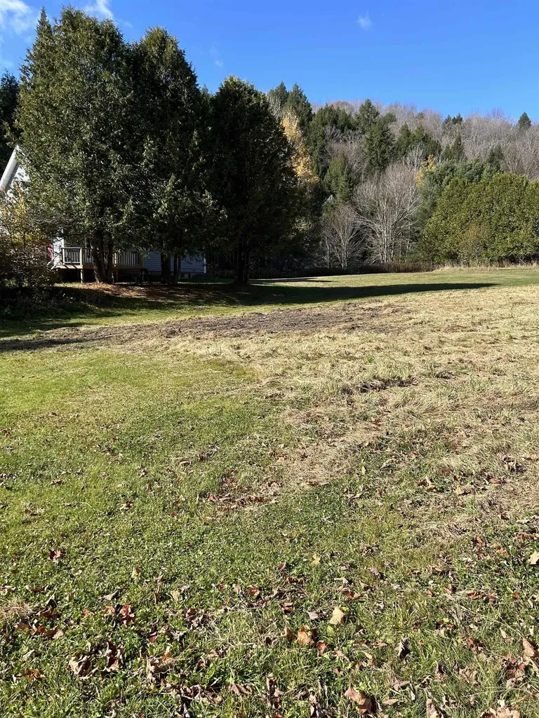 153 Dickerman Hill Road Tunbridge VT 05077
