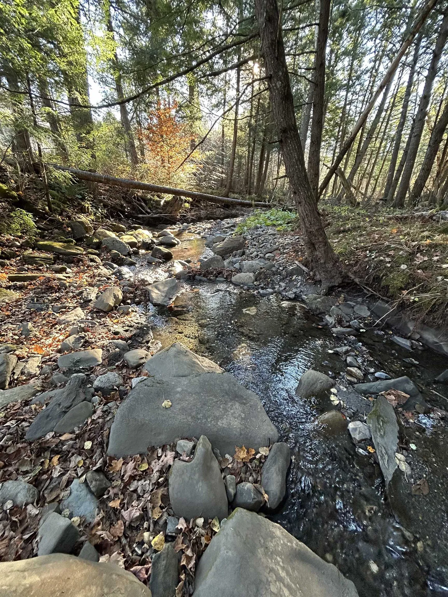 153 Dickerman Hill Road Tunbridge VT 05077