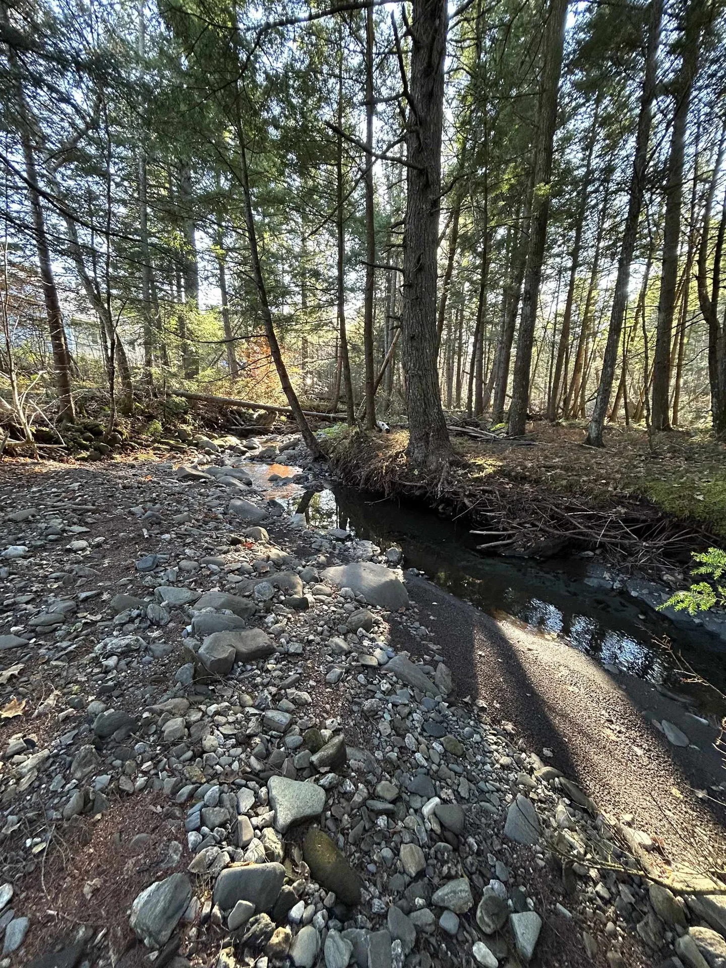 153 Dickerman Hill Road Tunbridge VT 05077