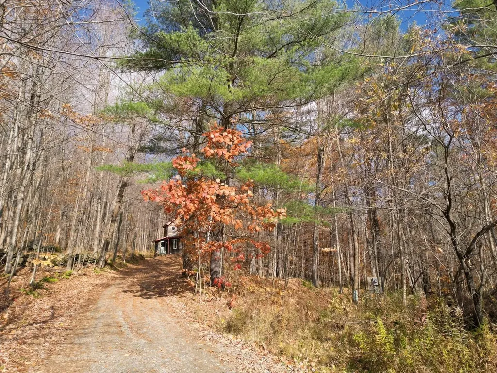 2913 Lincoln Hill Road Hinesburg VT 05461