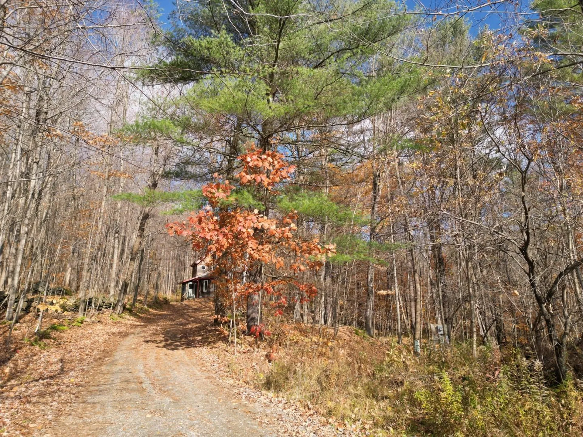 2913 Lincoln Hill Road Hinesburg VT 05461
