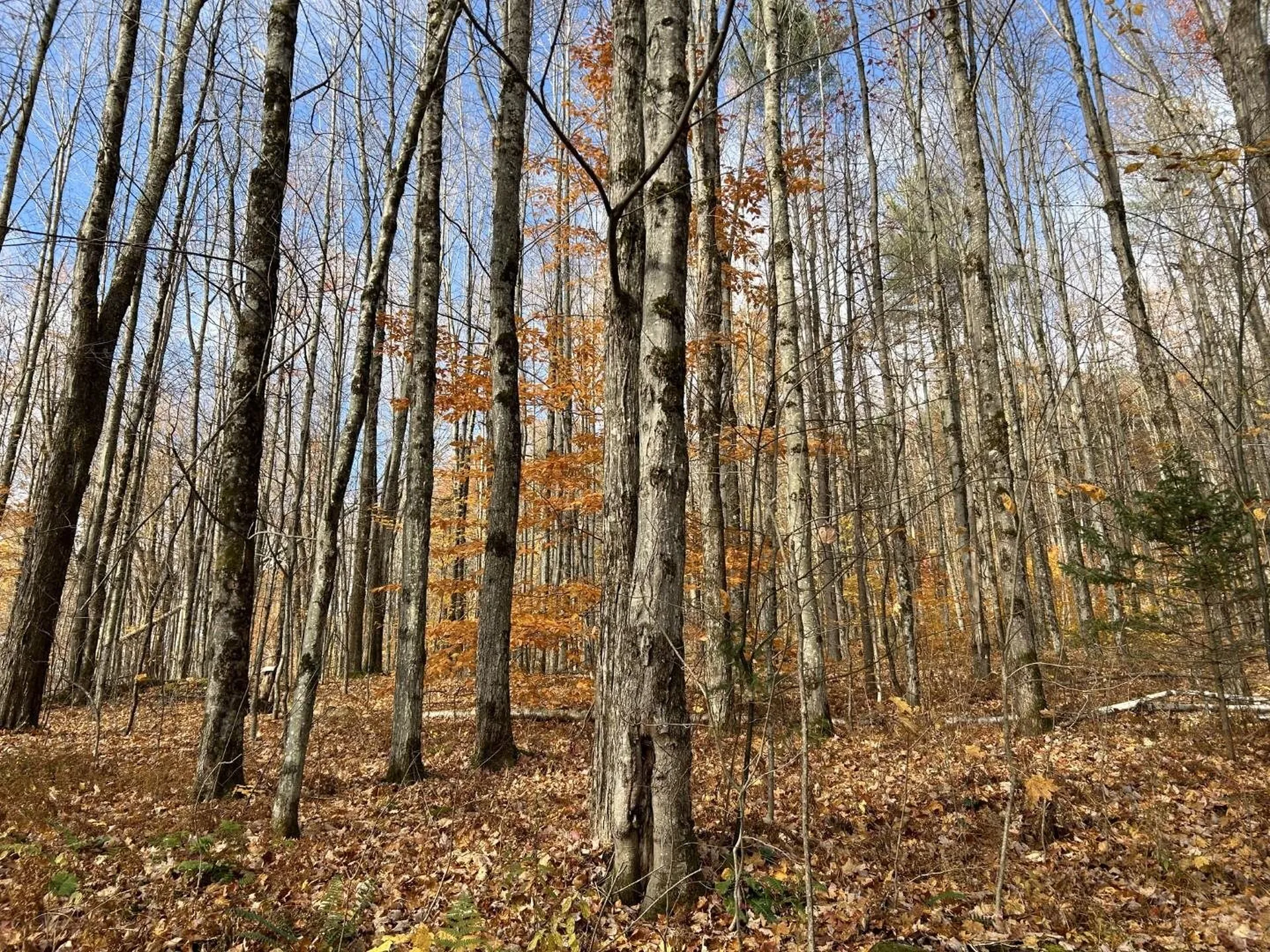 2913 Lincoln Hill Road Hinesburg VT 05461