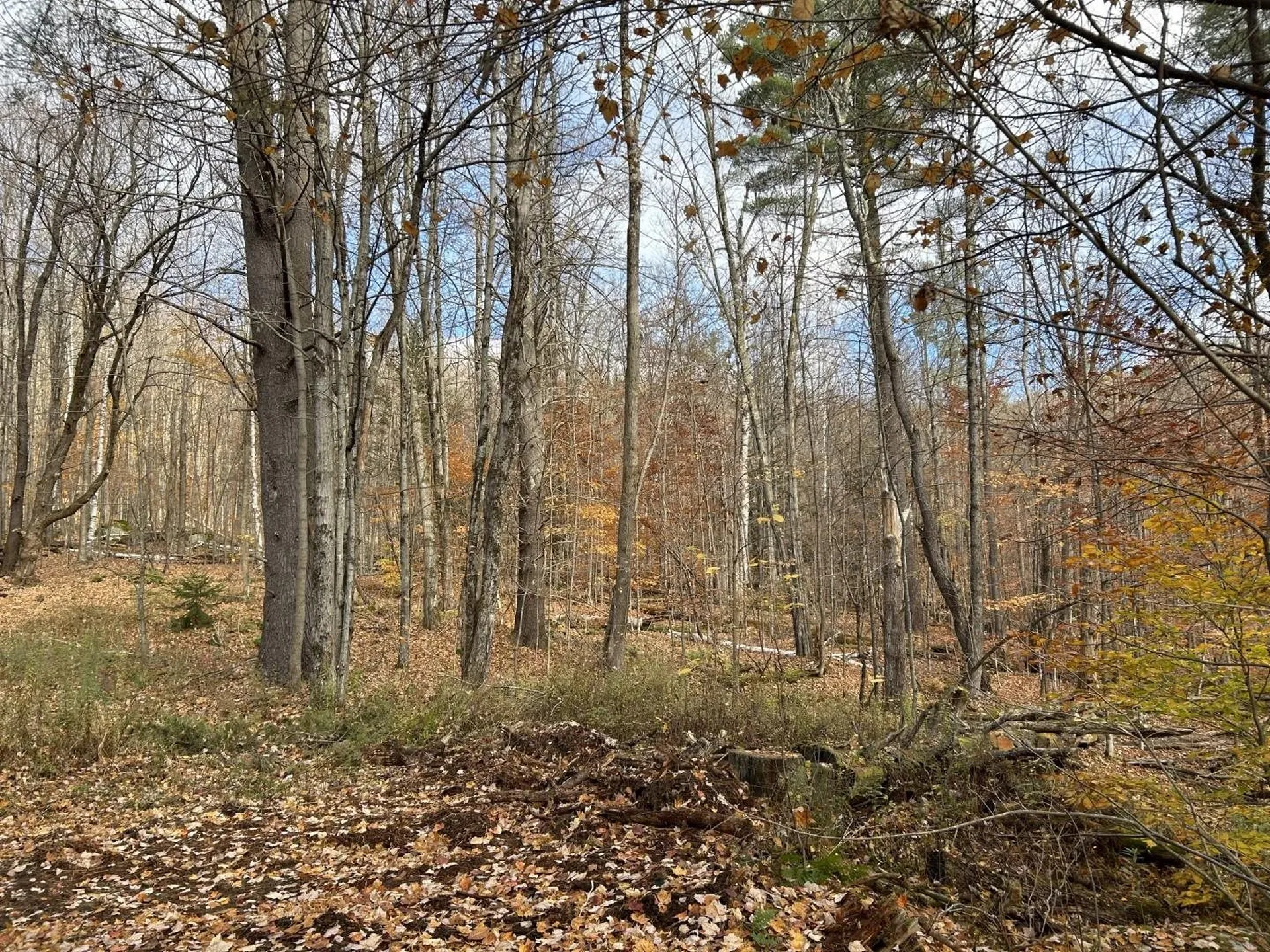 2913 Lincoln Hill Road Hinesburg VT 05461