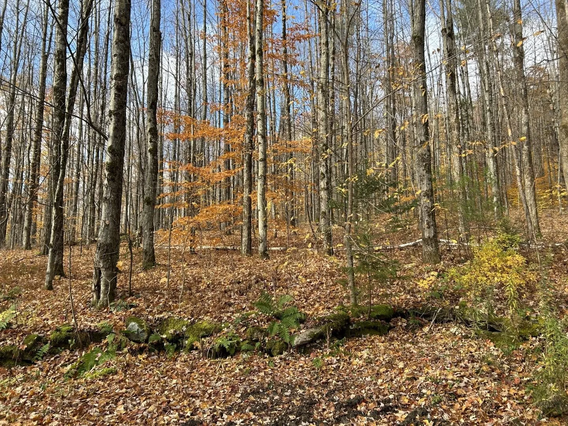 2913 Lincoln Hill Road Hinesburg VT 05461