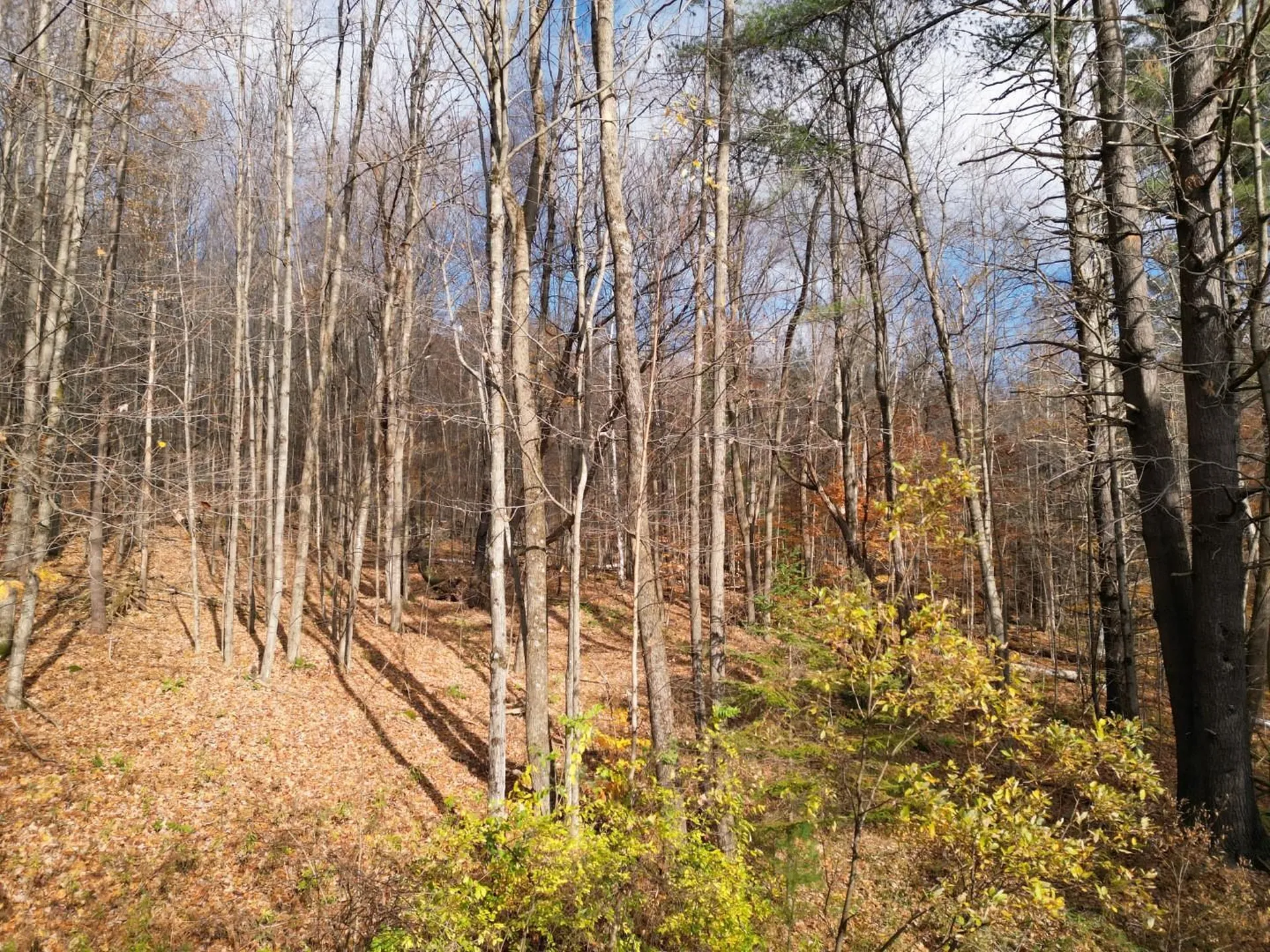 2913 Lincoln Hill Road Hinesburg VT 05461