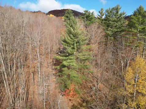 2913 Lincoln Hill Road Hinesburg VT 05461