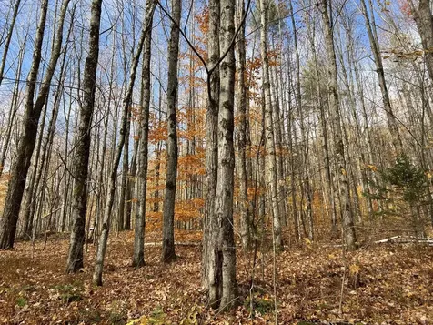 2913 Lincoln Hill Road Hinesburg VT 05461