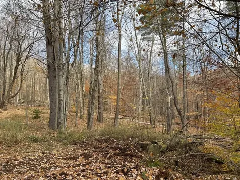 2913 Lincoln Hill Road Hinesburg VT 05461