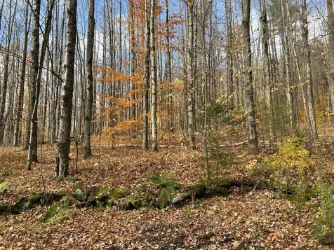 2913 Lincoln Hill Road Hinesburg VT 05461