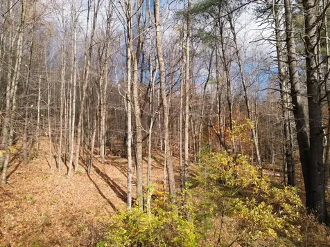 2913 Lincoln Hill Road Hinesburg VT 05461