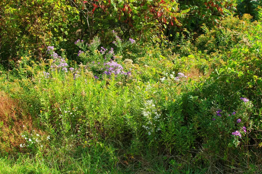 261 Four Winds Road Ferrisburgh VT 05456