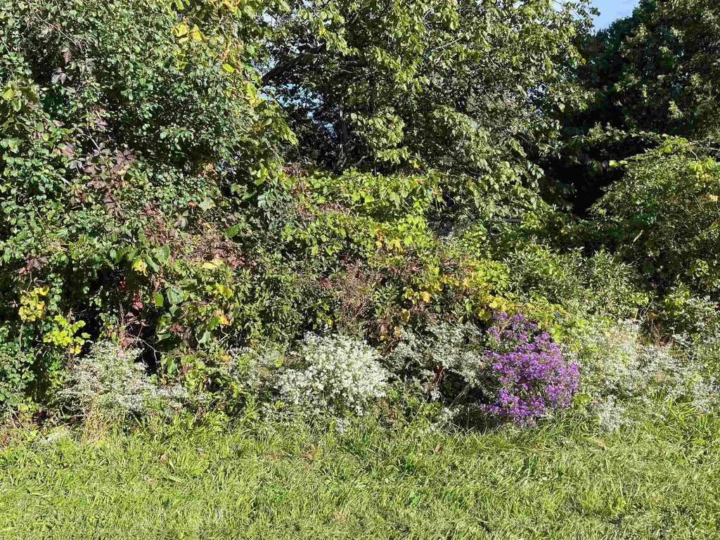 261 Four Winds Road Ferrisburgh VT 05456