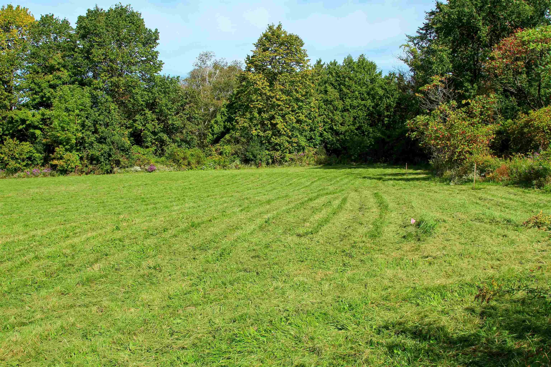 261 Four Winds Road Ferrisburgh VT 05456