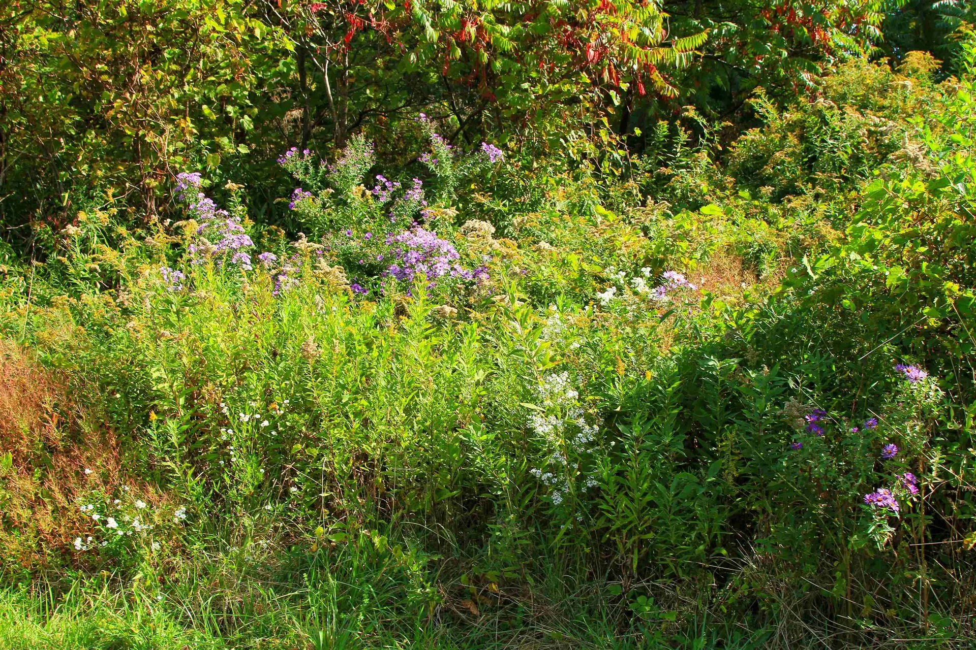 261 Four Winds Road Ferrisburgh VT 05456