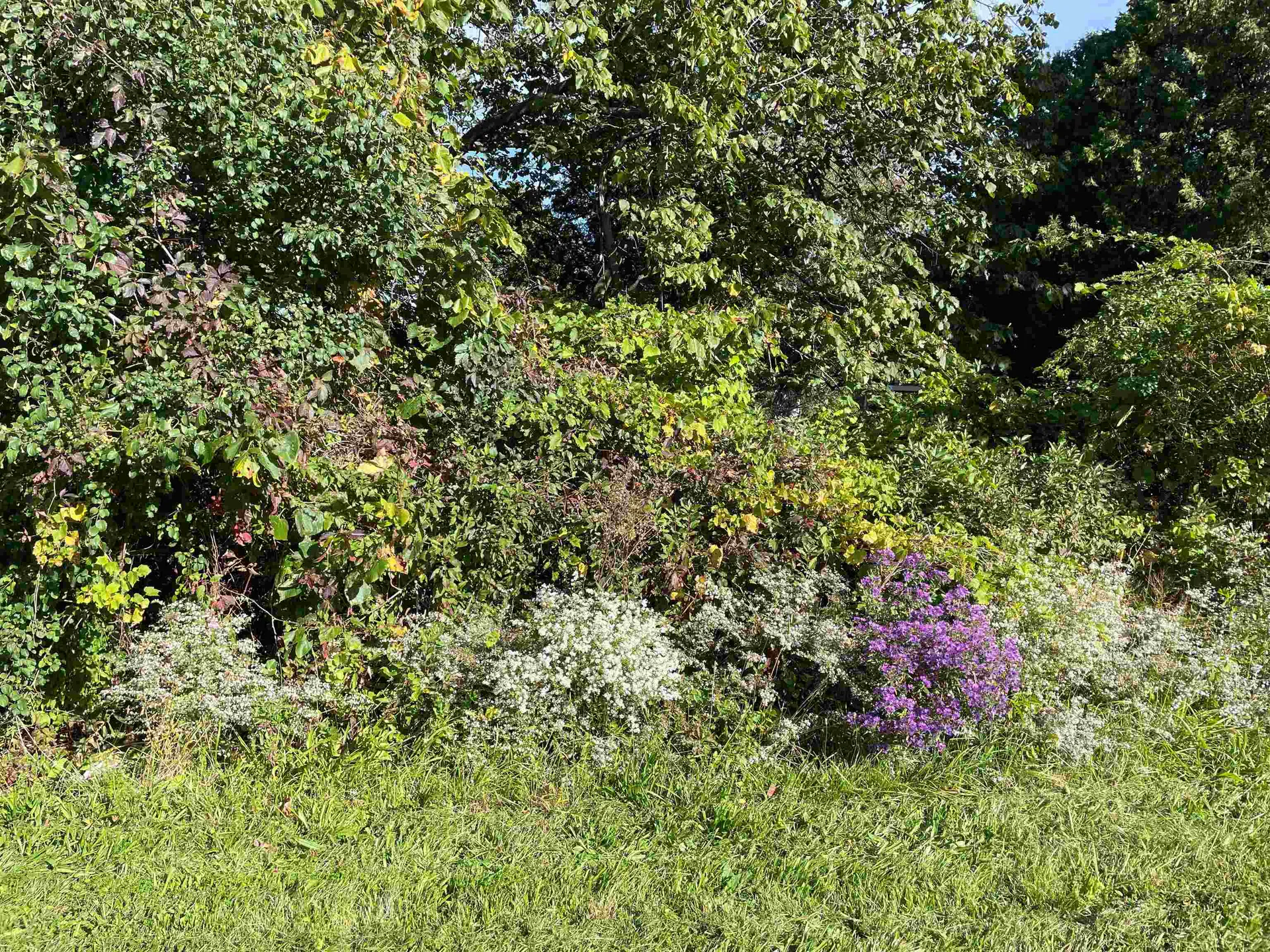 261 Four Winds Road Ferrisburgh VT 05456