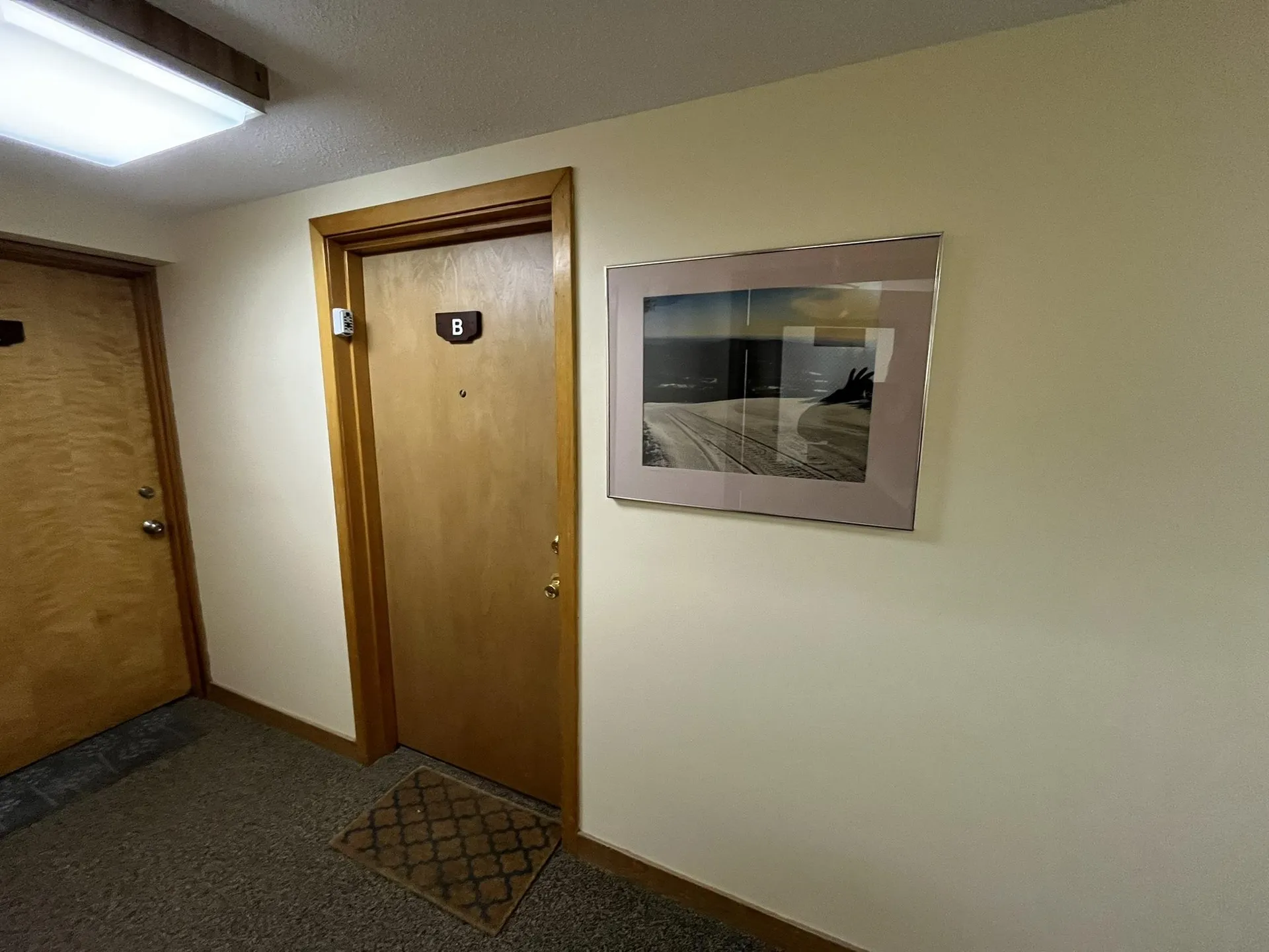 17 Snow Tree Lane Dover VT 05356