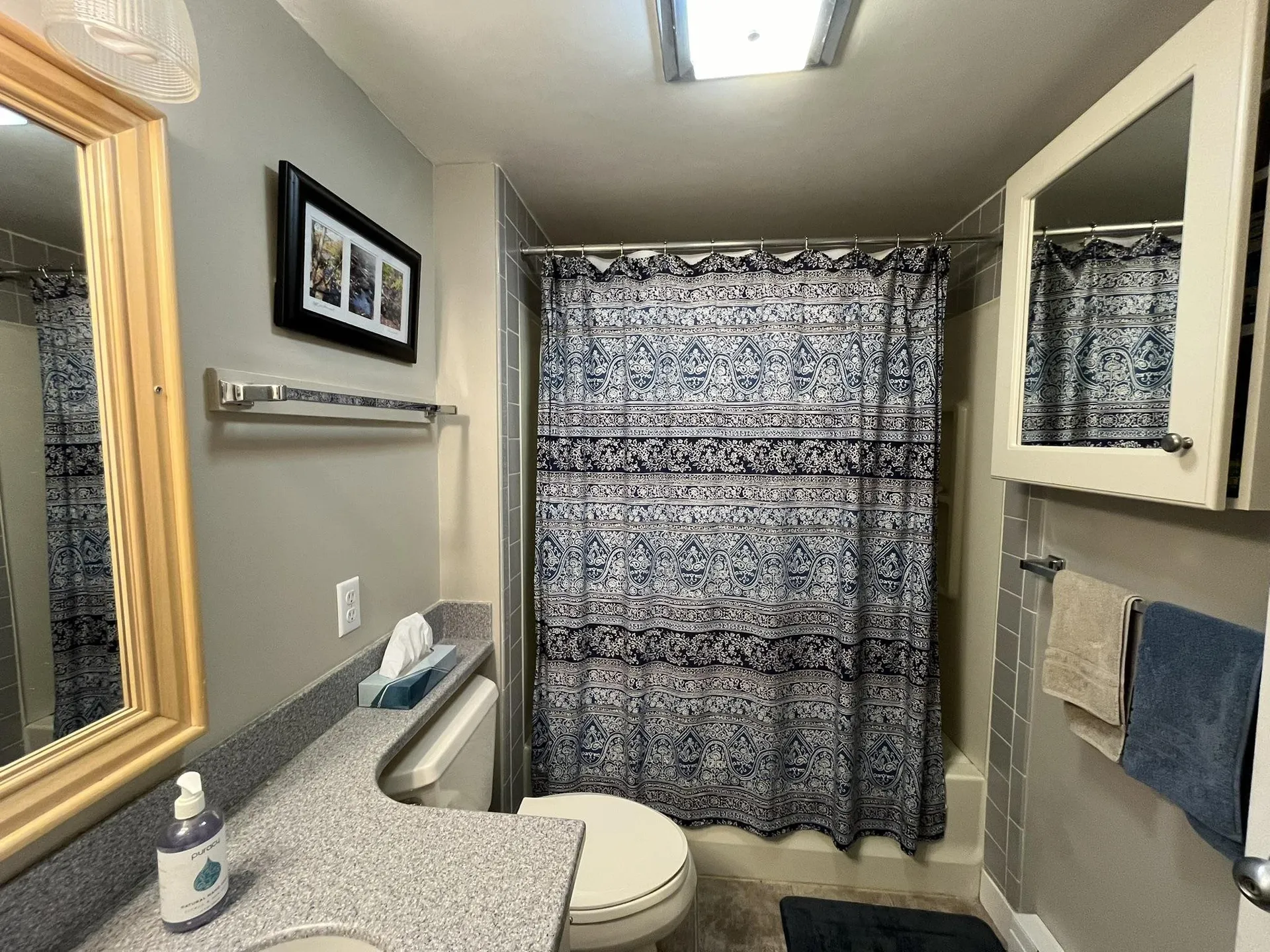 17 Snow Tree Lane Dover VT 05356