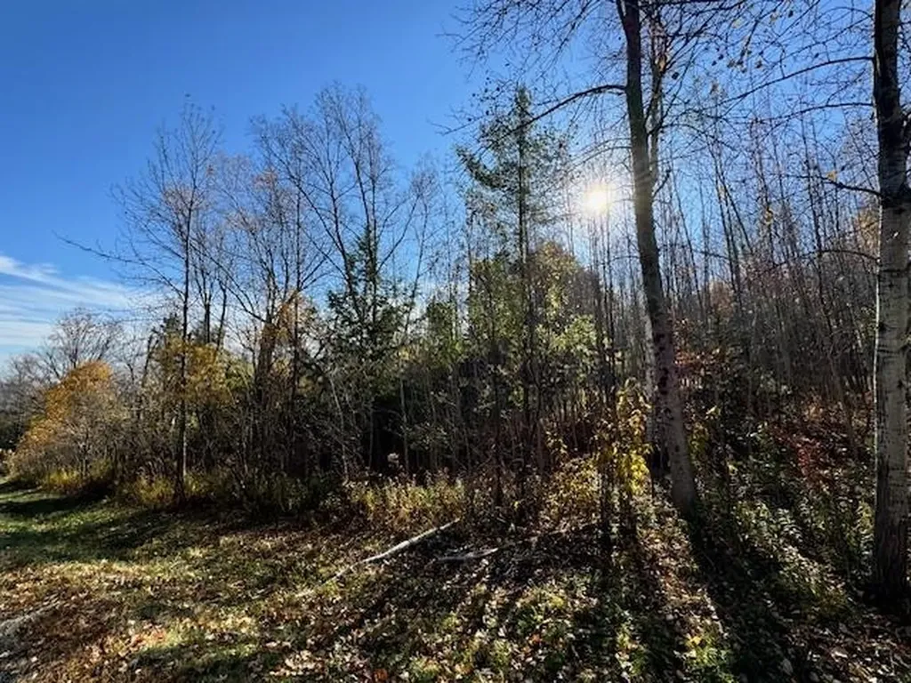 0 Route 132 Strafford VT 05070