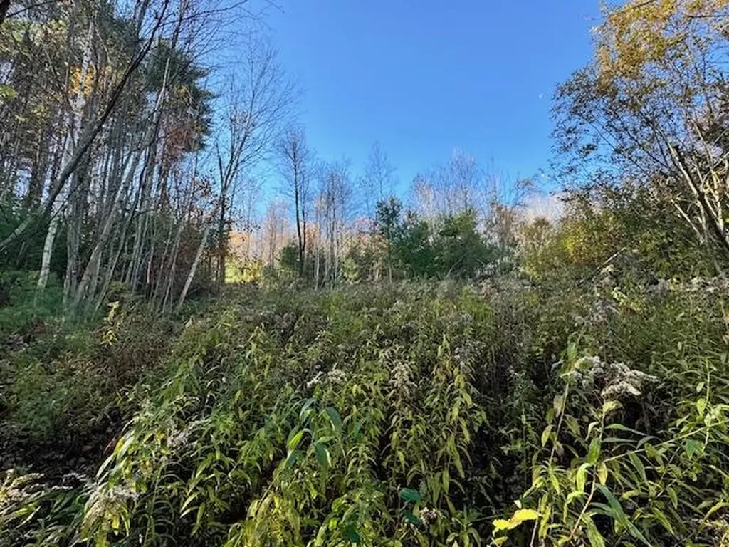 0 Route 132 Strafford VT 05070