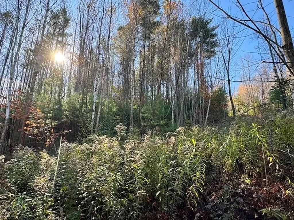 0 Route 132 Strafford VT 05070