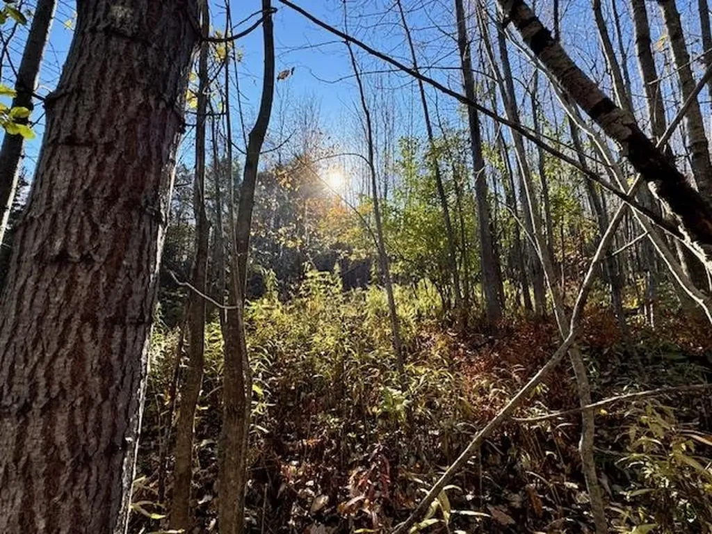 0 Route 132 Strafford VT 05070