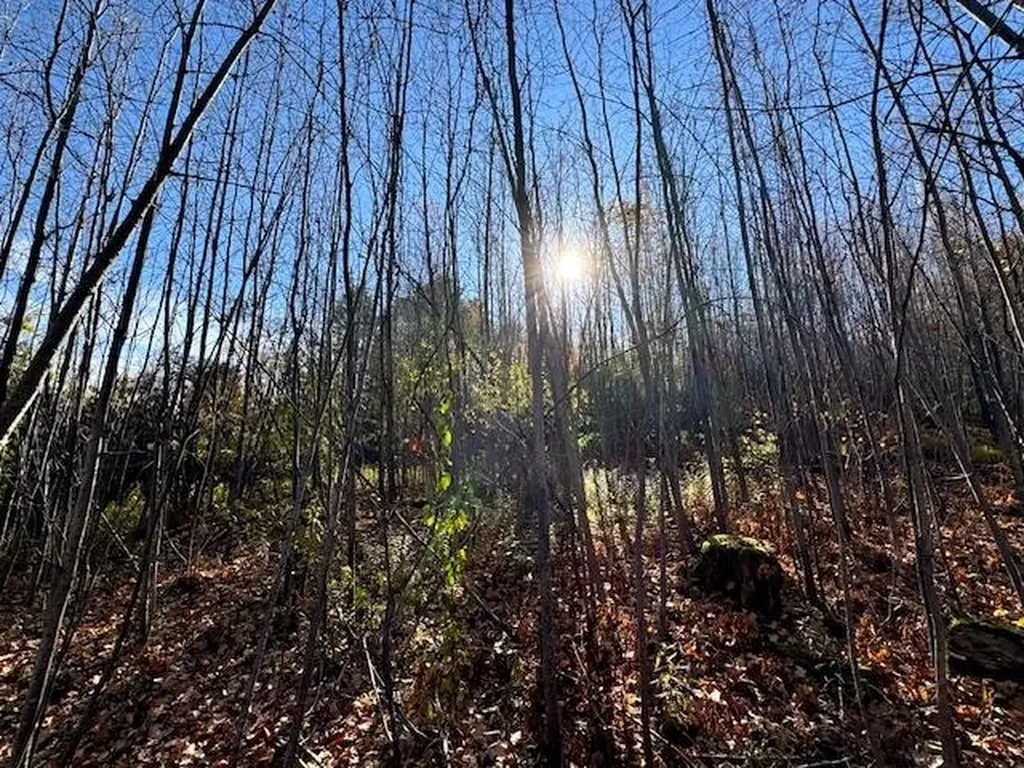 0 Route 132 Strafford VT 05070