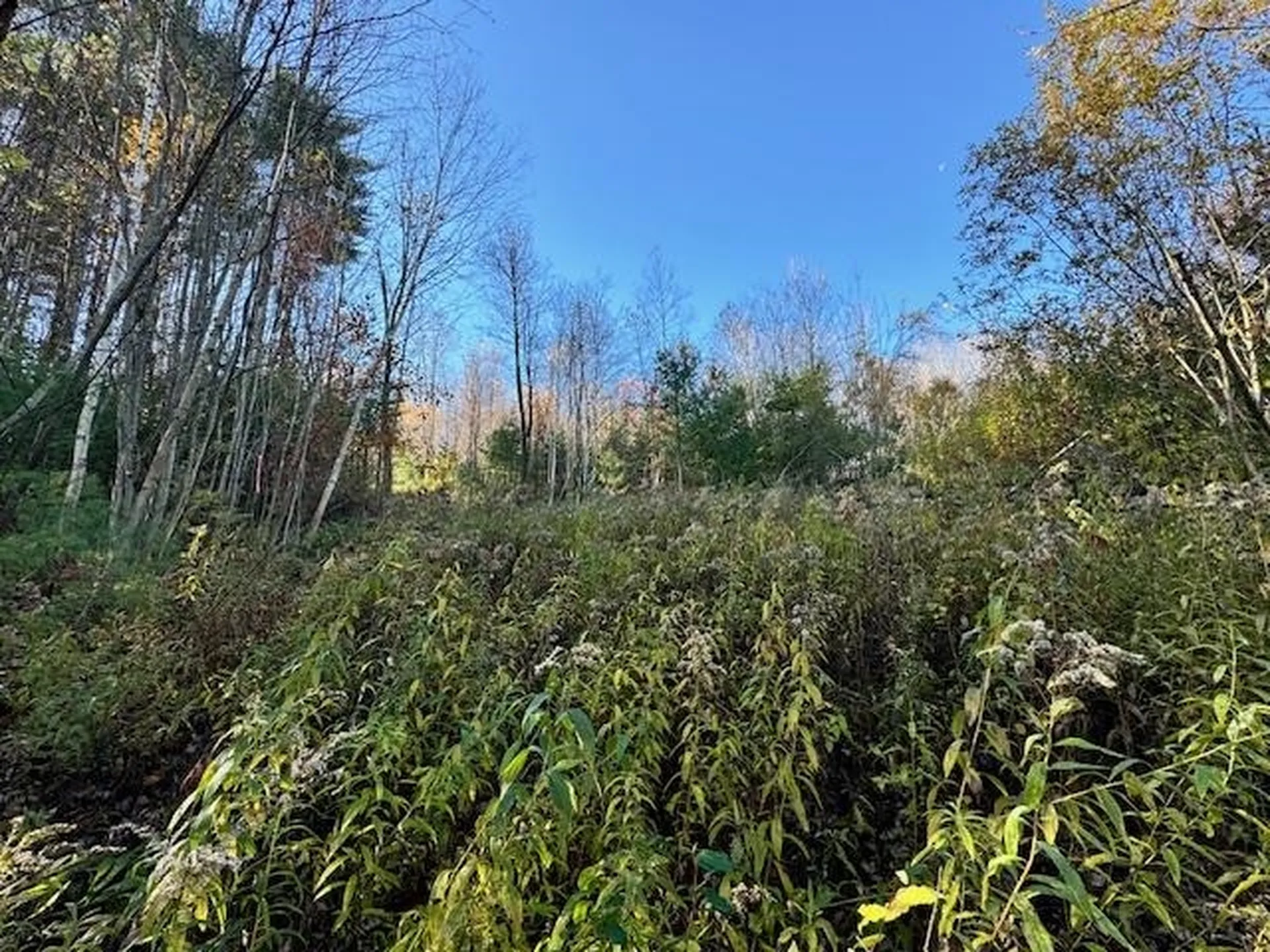 0 Route 132 Strafford VT 05070