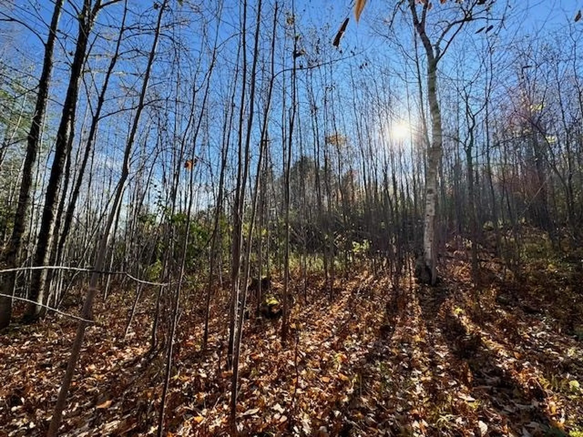 0 Route 132 Strafford VT 05070